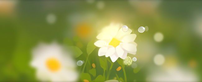 白色花朵虚化朦胧花影光影肌理磨砂绿色背景图片
