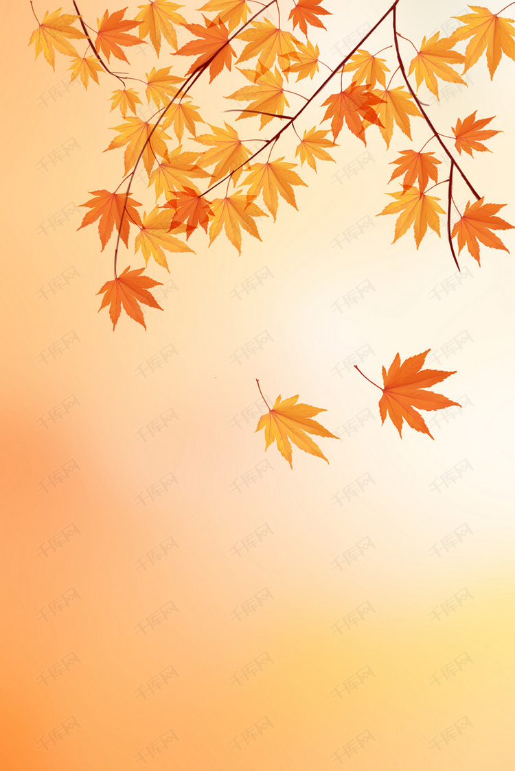 綺麗な背景素材秋 美しい花の画像 綺麗な背景素材秋 美しい花の画像