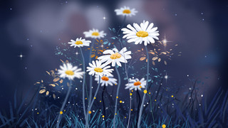 灰白菊花海报模板_光感植物花卉速涂小雏菊插画