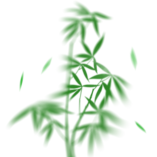 紫藤植物海报模板_弥散竹子植物树叶