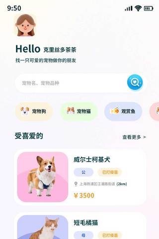 宠物购买APP主界面UI界面设计宠物粉色系