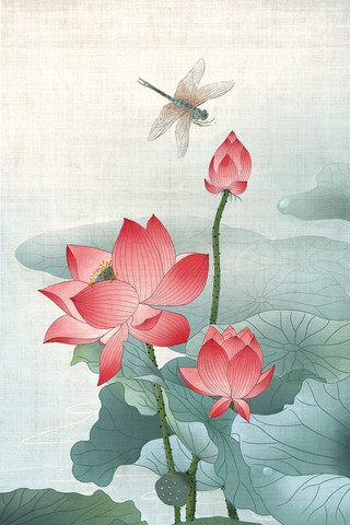 飞竹蜻蜓海报模板_夏天夏季中国风国画小荷才露尖尖角早有蜻蜓立上头风景
