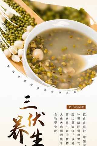 夏季三伏天健康养生食补简约海报中国风中医养生医疗绿豆汤