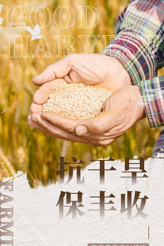 抗干旱保丰收秋收农业生产海报经济农产品助农