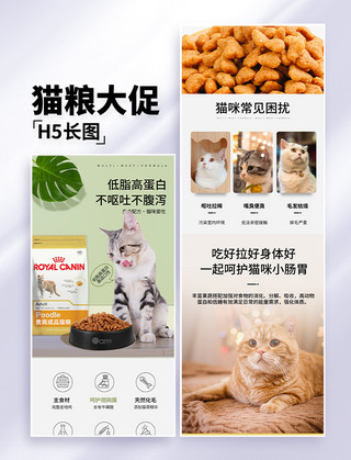 宠物猫咪i海报模板_猫粮大促长图H5设计
