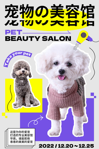 参赛项目海报模板_扁平图形化宠物美容宠物项目宠物医院宠物服务促销打折宣传海报
