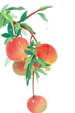 石榴水彩果实秋天秋季水果生鲜元素