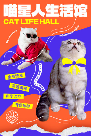 项目；海报模板_橙色蓝色喵星人生活馆宠物服务宠物项目活动宣传海报猫咖
