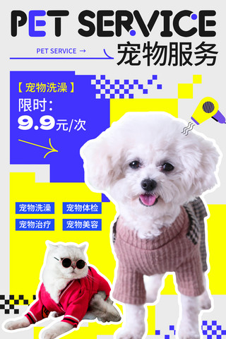 蓝色黄色灰色宠物生活馆宠物服务宠物项目宣传宠物海报美容