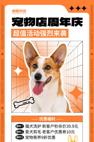 宠物店周年庆促销橙色简约活动海报