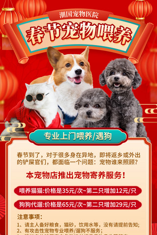 春节宠物寄养喂养服务宣传海报