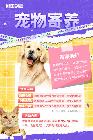 宠物鹦鹉海报模板_紫黄色撕纸风春节宠物寄养团购海报
