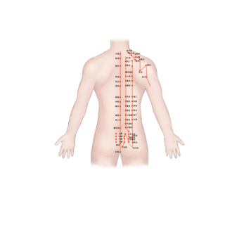 插图案例海报模板_医疗人体医疗穴位插图上身后背穴位图
