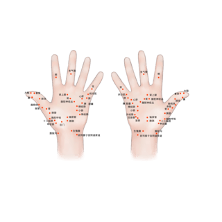 手部颤抖海报模板_医疗人体医疗穴位插图左右手撑穴位图