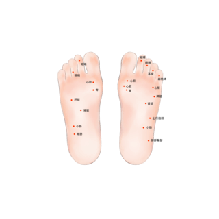 人体结构图海报模板_医疗人体医疗穴位插图足部穴位图