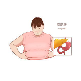人物角色png海报模板_常见医疗人物疾病图例脂肪肝