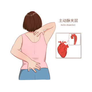 常见医疗人物疾病图例主动脉夹层