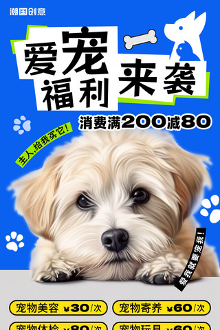 宠物收养计划流浪猫狗收留宣传海报