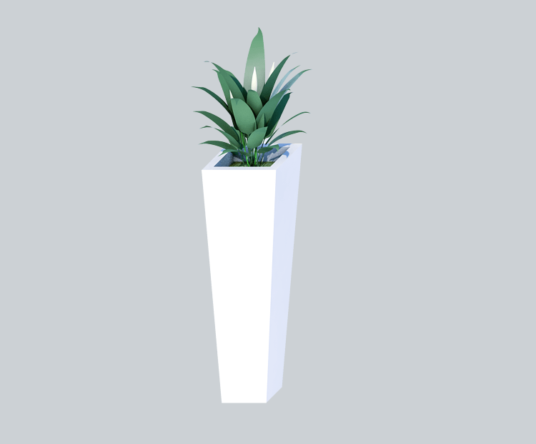 3D室内植物装饰