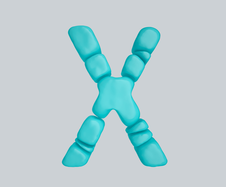 C4D柔体泡沫立体字母X元素