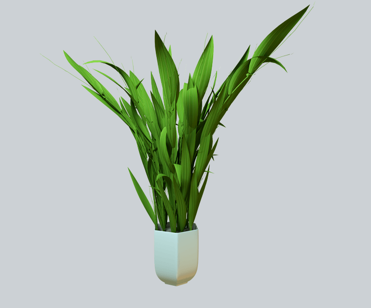 楔叶类绿植盆栽C4D