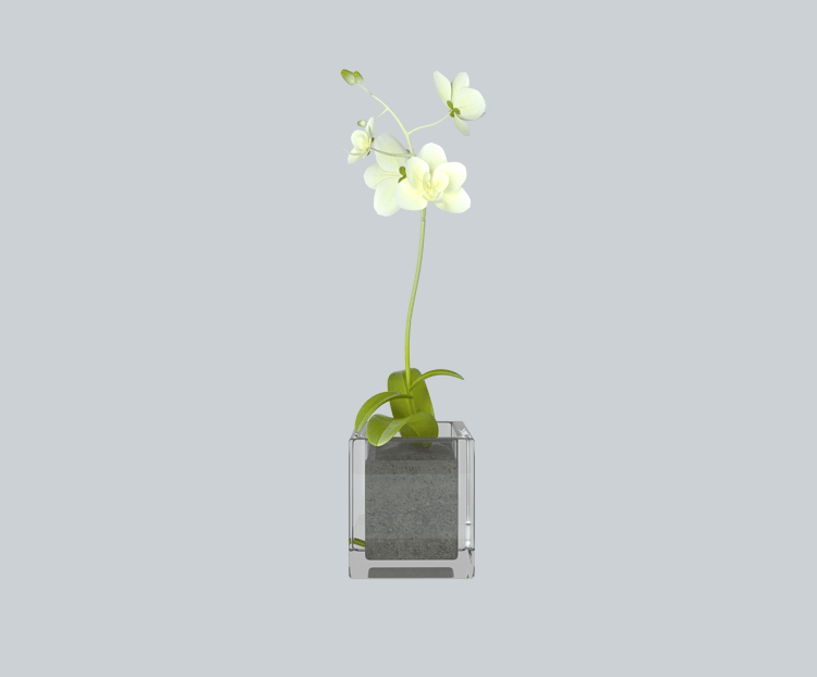 3D写实盆景花卉