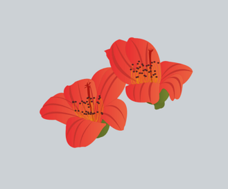 手绘木棉花元素之卡通红色植物花