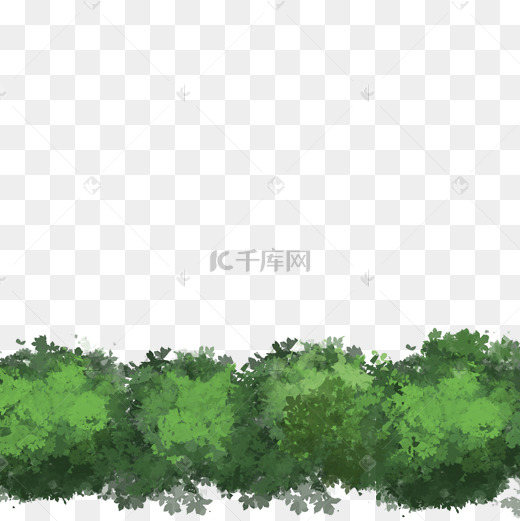 绿色的草丛背景图片