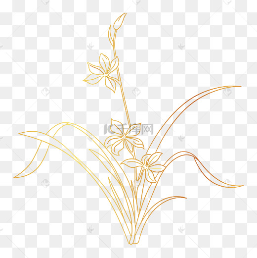 兰花草图片-兰花草图片素材免费下载-千库网