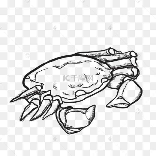 黑白线描大闸蟹食物图片