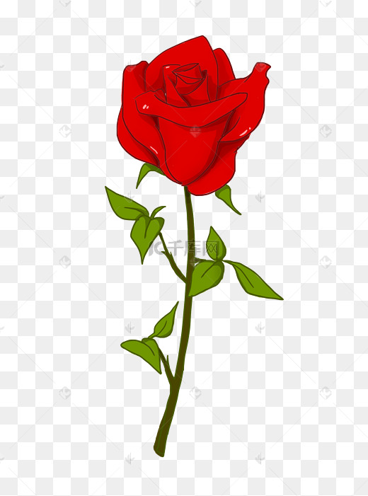 手绘卡通玫瑰花插画图片