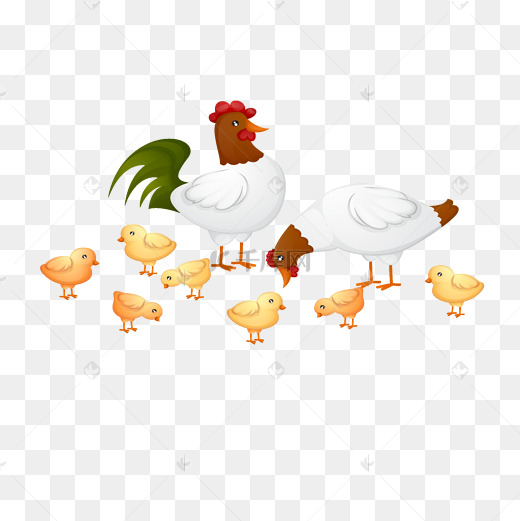鸡妈妈卡通