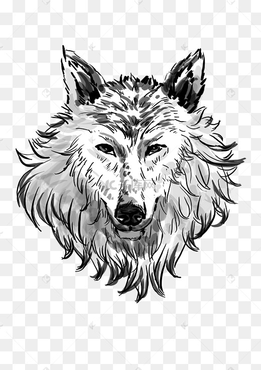 线描狼头动物图片