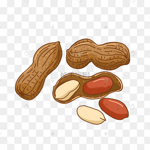 卡通手绘剥开的花生图片