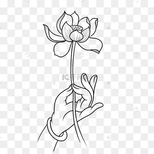 佛手莲花植物图片