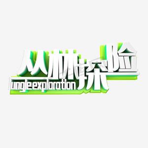 丛林探险