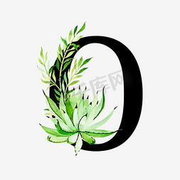 衬线体字母中国风多肉植物