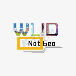 wild字