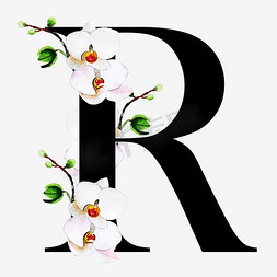 水墨花朵免抠艺术字图片_奢华大牌中国风花朵字母R装饰