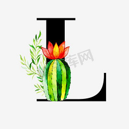 衬线体字母L中国风多肉植物