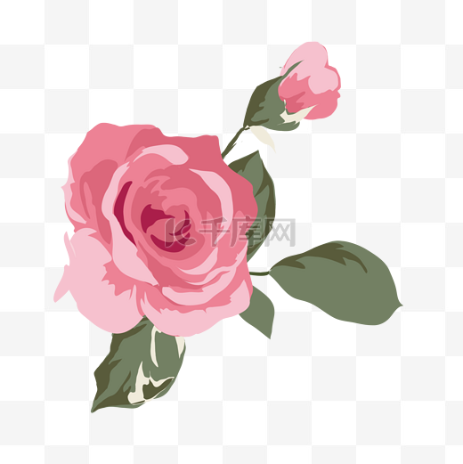 卡通盛开的粉色玫瑰花免抠图图片