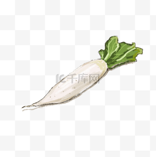 二十四节气养生手绘新鲜蔬菜白萝卜PNG免抠图图片
