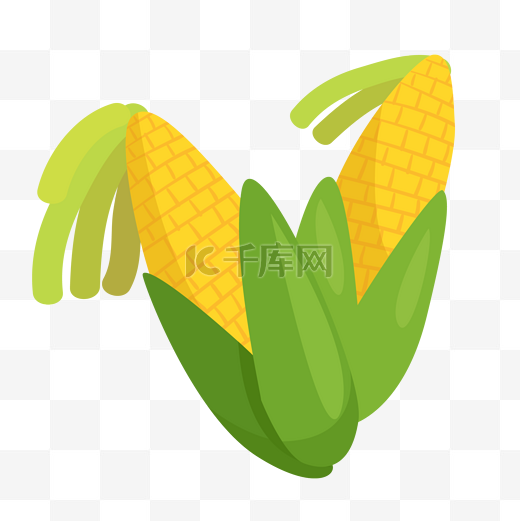 手绘粮食玉米插画图片