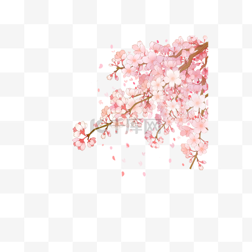 毕业季粉色樱花图片