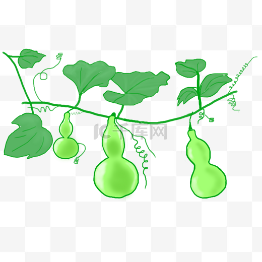 手绘生长的绿色葫芦图片