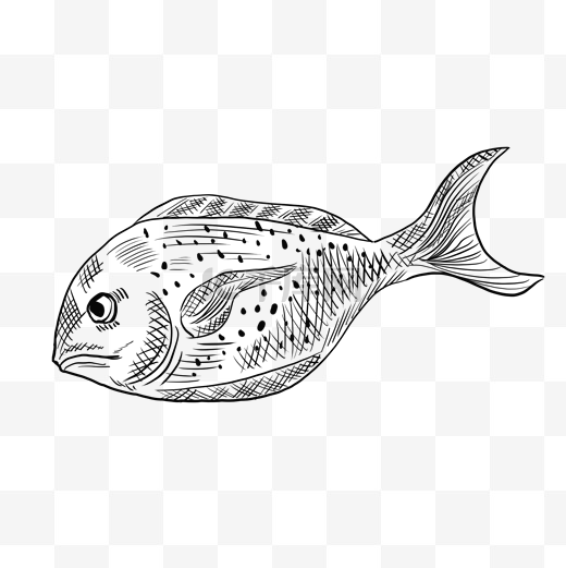 海鲜丑鱼手绘线稿元素图片