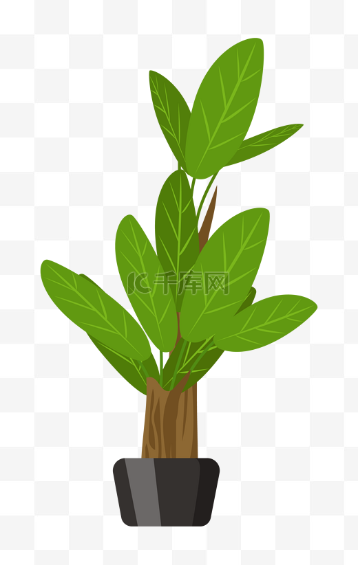 绿叶小树植物盆栽插画图片
