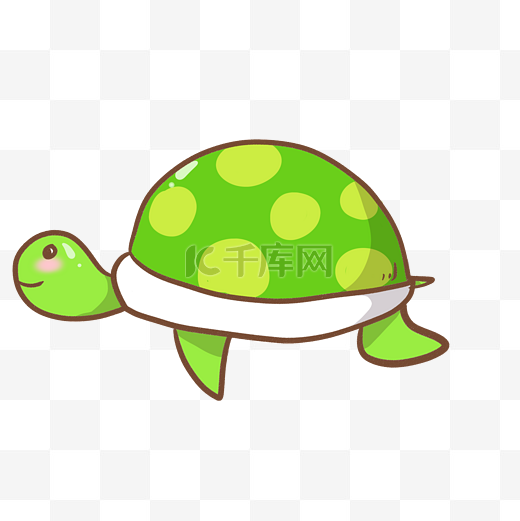 可爱海洋动物海龟插画图片