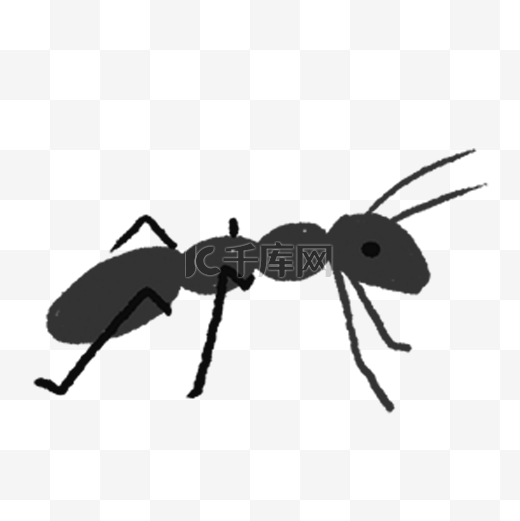 黑色的小蚂蚁免抠图图片