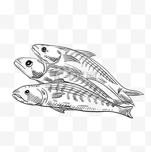 海鲜鱼手绘卡通黑白简笔画图片